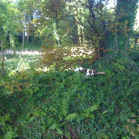 Teach Fia Holiday home Ballina (Mayo)