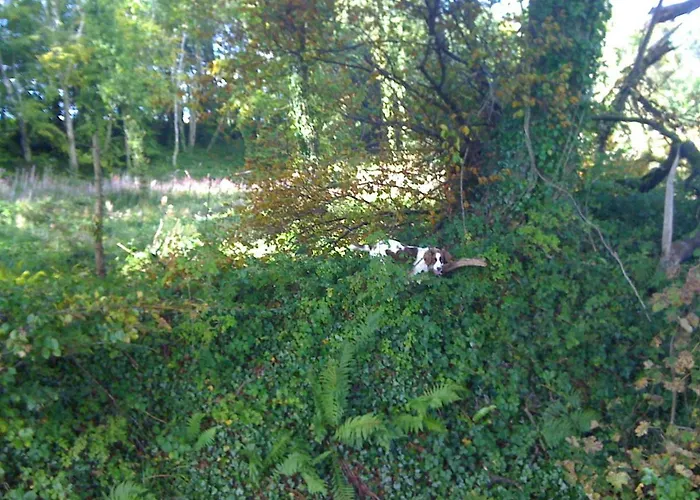 Teach Fia Holiday home Ballina (Mayo)